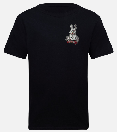 T-shirt lapin zombya