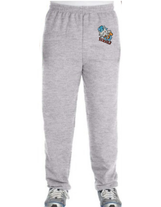 Jogging  Requin